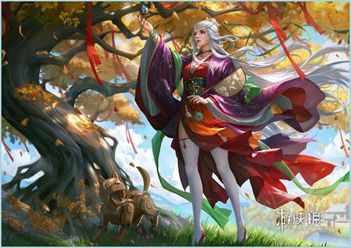 网7