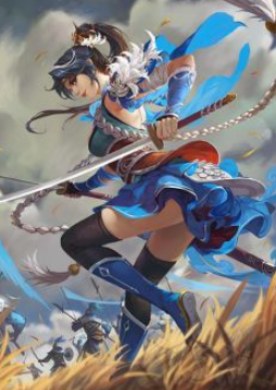 网2