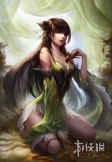 网4